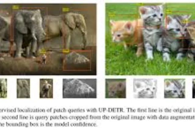 Grid of thumbnail images from YouTube, with one or more cat faces highlighted or outlined