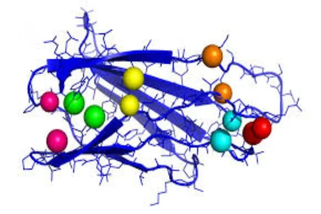Electron density map rendered as a mesh, with an atomic model traced through it