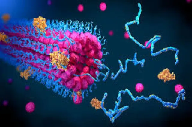 Diagram or chart showing predicted versus actual protein structure coordinates