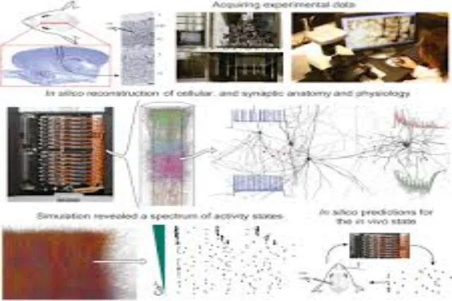 3D visualisation of a dense neural circuit, with branching neurons rendered in multiple colours against a dark background