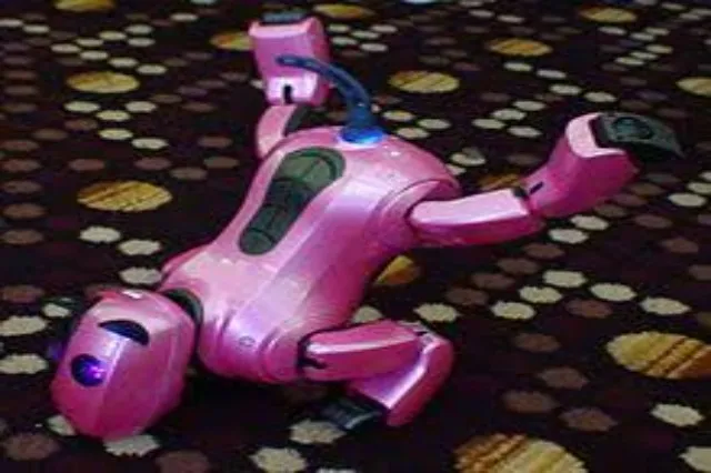 A small four-legged robot dog with a white and black body, viewed from the side or front