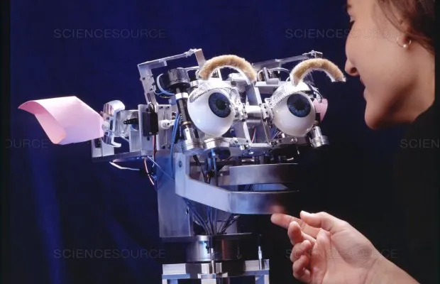 Robotic head with movable eyes, eyelids, ears, and lips mounted on a mechanical neck