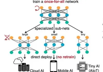Diagram showing a single network branching into multiple smaller sub-networks for different hardware targets